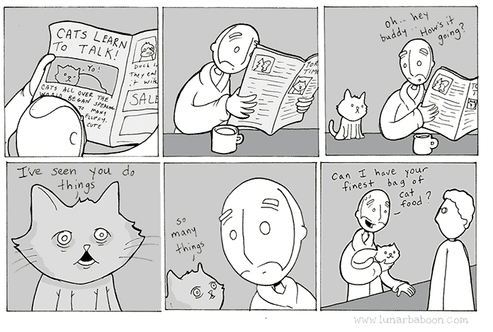 ngôn ngữ mèo