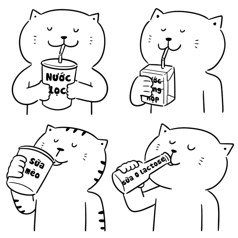 mèo uống sữa